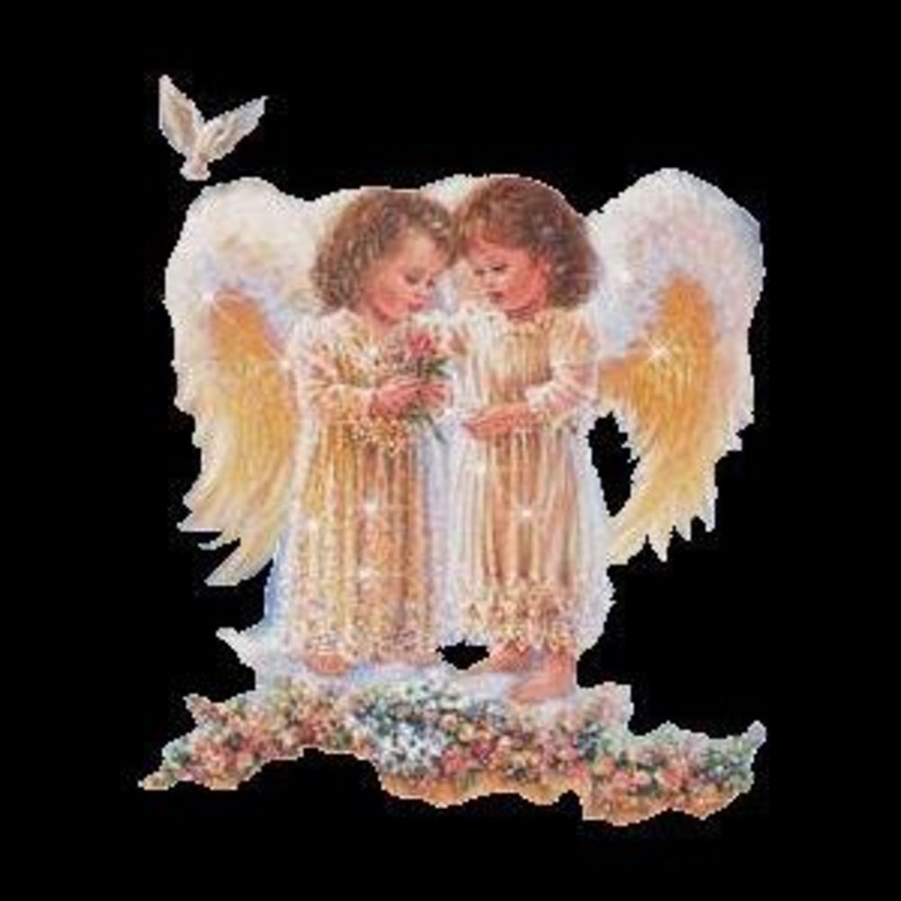 Meet your Posher, Lois